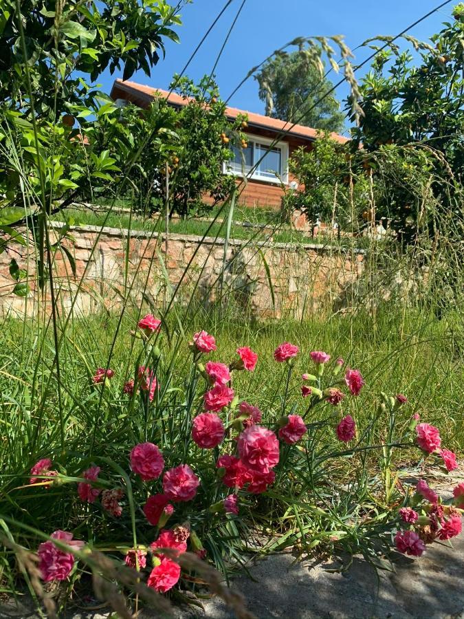 Villa The Mussel House Ksamil Esterno foto