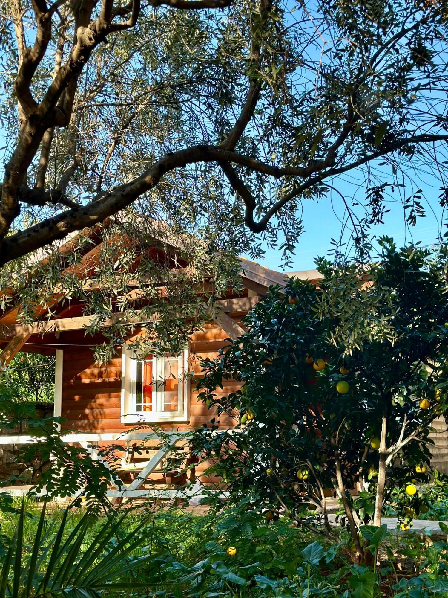 Villa The Mussel House Ksamil Esterno foto